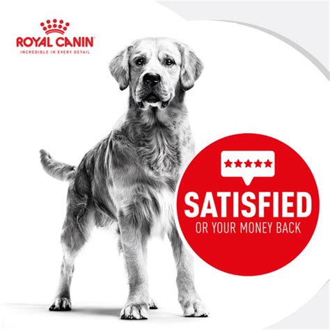 Buy Royal Canin Golden Retriever Adult Dry Dog Food Online Better