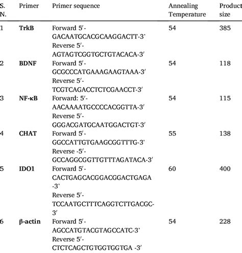 Primer Sequences Annealing Temperature And Product Size Of Different