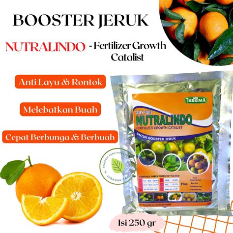 Jual Pupuk Bawang Cepat Besar Pupuk Jeruk Limau Booster Jeruk Cepat