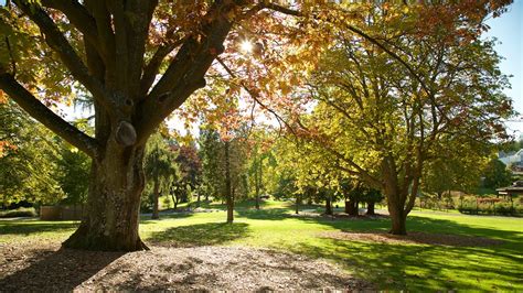 Point Defiance Park in Tacoma, Washington | Expedia