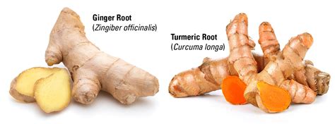 The Powerful Health Benefits Of Turmeric And Curcumin Heres What You