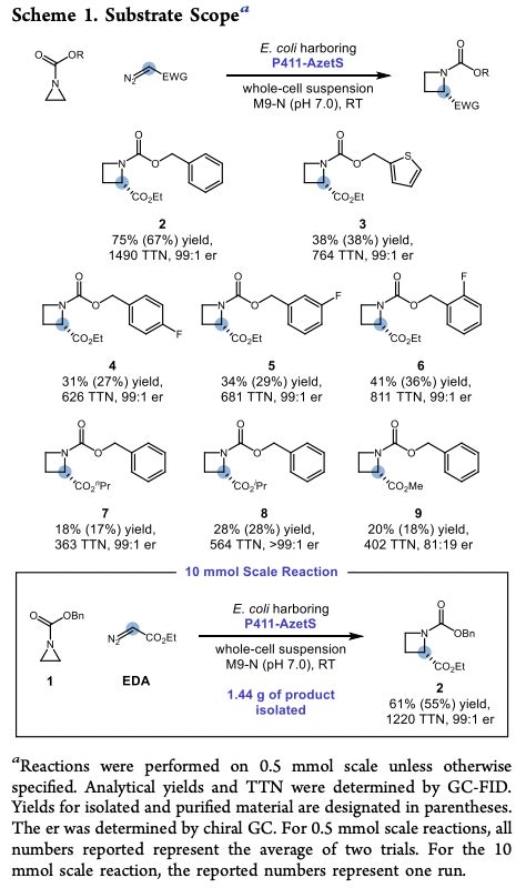 Enzyme Chemistry On Twitter Biocatalytic One Carbon Ring Expansion