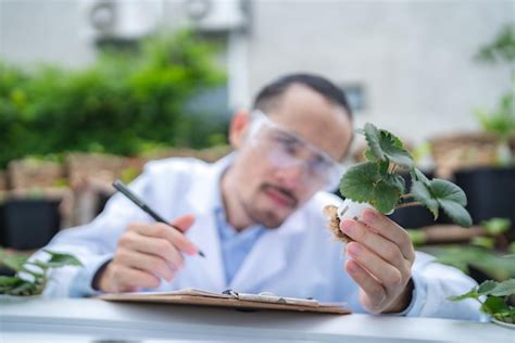 Premium Photo Professional Agriculture Scientist Working To Research