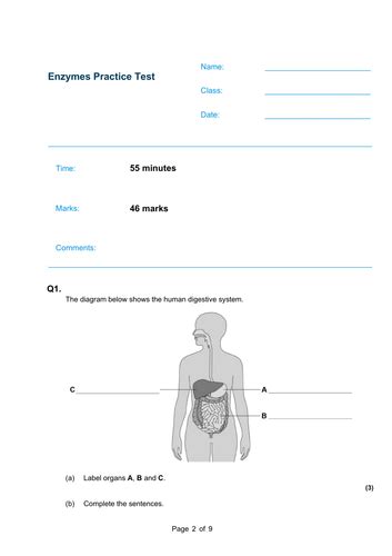 Aqa 9 1 Biology Enzymes And Digestion Exam Question Practice Revision