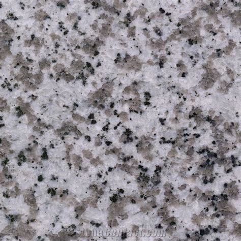 Beta White Granite White Granite StoneContact