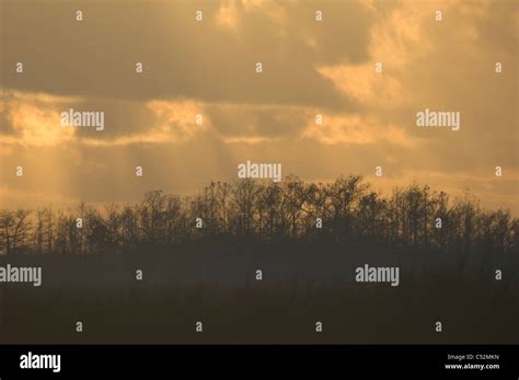 Everglades National Park Enp Landscape Wetlands Stock Photo Alamy