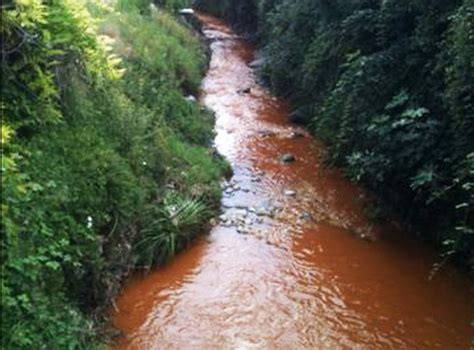 Fiume Rosso Ancora Inquinamento Nel Lago Gardapost