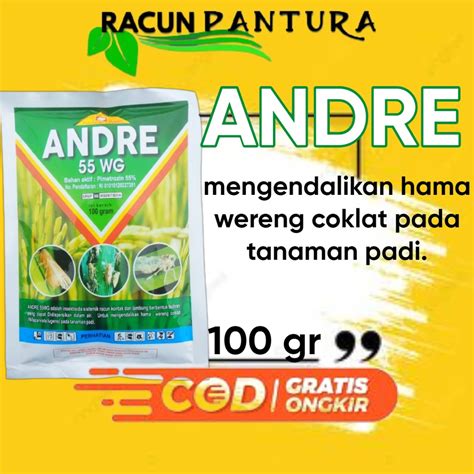 Jual Insektisisa ANDRE 55WG 100gram Mengendalikan Hama Wereng Coklat