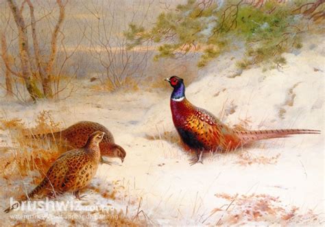 A Winter Dawn Pheasants In The Snow By Archibald Thorburn Oil