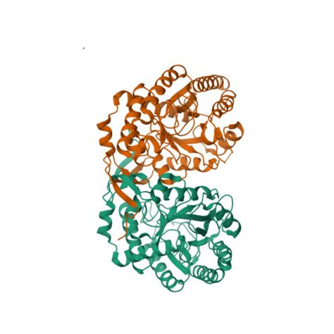 Rcsb Pdb Ofr Crystal Structure Of The Tyrosine Regulated Deoxy D