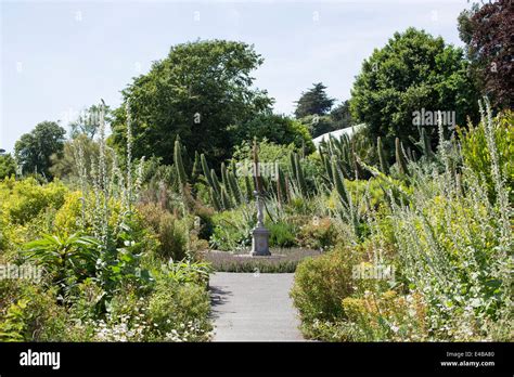 General View Of Ventnor Botanic Garden In Ventnor Isle Of Wight