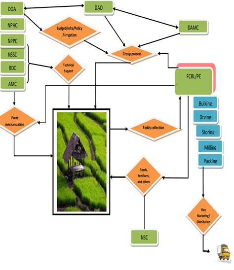 Rice Production And Marketing Model Download Scientific Diagram