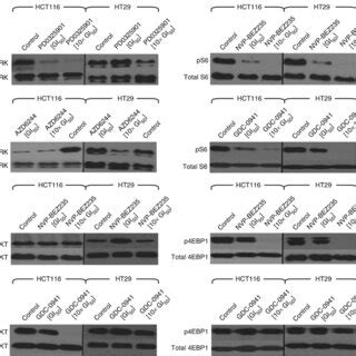 Effect Of The Mek Inhibitors Pd And Azd As Single Agents