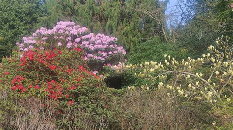 Exploring Royal Botanic Garden Part Edinburghscotland Youtube