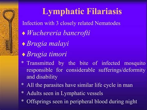 Lecture Five Filariasis Pathogenesis Ppt