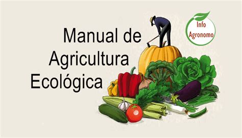 Manual De Agricultura Ecologica PDF InfoAgronomo