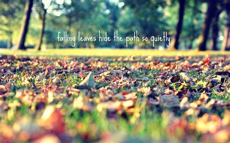 Falling Leaves Hide The Path Mac Wallpaper Download Allmacwallpaper