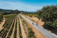 Le Pays d Aigues à vélo Vignobles et châteaux en Provence