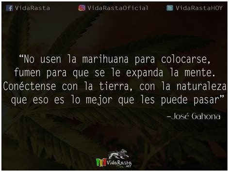 Im Genes Con Frases De Reggae Vidarasta