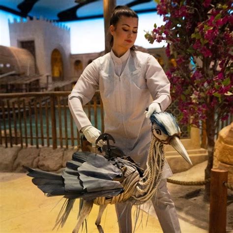 Seaworld Yas Island Opening Date Revealed