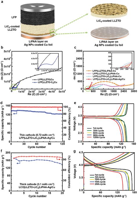 A Schematic Of The Garnetbased Anodefree Cell B Nyquist Plots Of