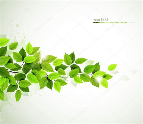 Branch With Fresh Green Leaves Stock Vector Antart