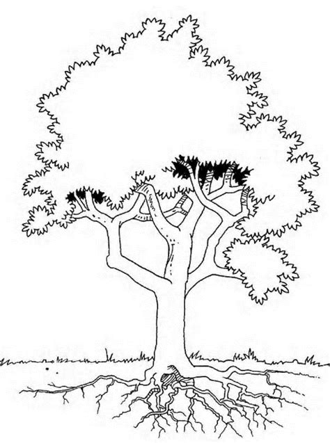 Kids N Coloring Page Trees And Leaves Trees And Leaves