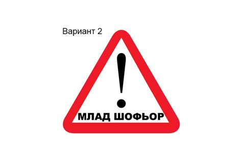 Млад шофьор - Стикери за стена