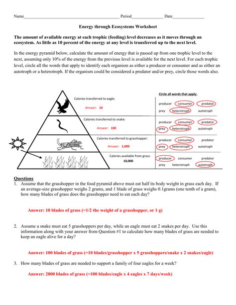 Food Chain Trophic Levels Worksheet Answers