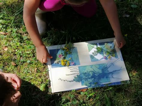 Comment ça se passe un atelier cyanotype Tout pour le cyanotype