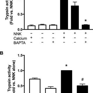 Depletion Of Intracellular Calcium Or Inhibition Of Pkc Blocks Nnk