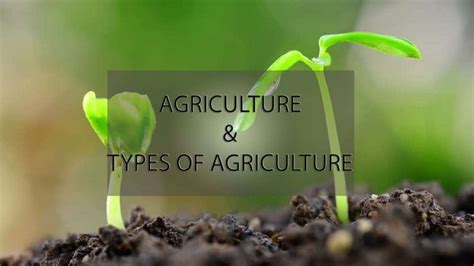 Agriculture and Types of Agriculture