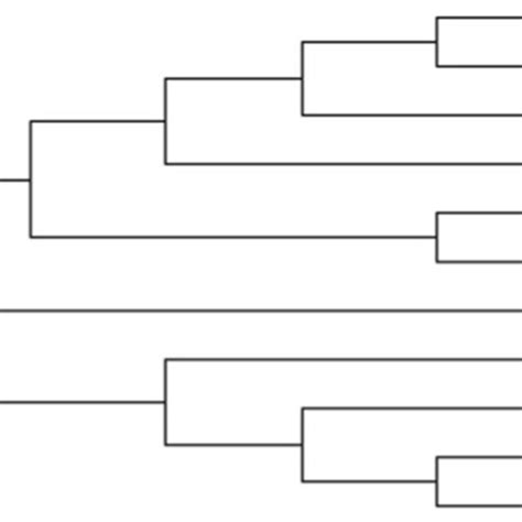 UPGMA Dendrogram Illustrating The Genetic Relationships Between Eleven