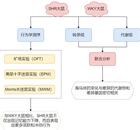 联合分析专题带你了解转录组 代谢组联合分析在医学方向的研究思路 转录组和代谢组关联分析 CSDN博客