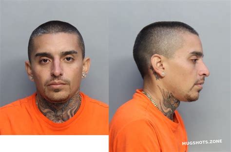 Palma Gino Angelo 05 11 2023 Miami Dade County Mugshots Zone