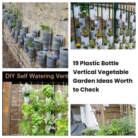 Plastic Bottle Vertical Vegetable Garden Ideas Worth To Check