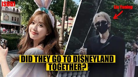 After Being Seen On Camera At Disneyland On The Same Day Liu Yuning