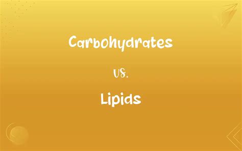 Carbohydrates Vs Lipids Whats The Difference