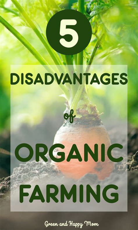 5 Disadvantages Of Organic Farming Benefits Of Organic Farming Organic Farming What Is