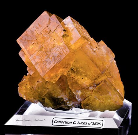 Fluorite Barras Gautier Min Https Static Wixstatic Media Daf8af