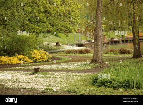 Hanley Park In Stoke On Trent Stock Photo Alamy