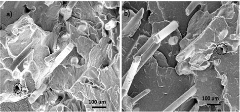 High Density Polyethylene Composites Reinforced With Hybrid Inorganic