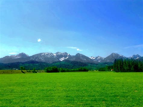 Train ride to the alps. I love the split of colors : r/Outdoors