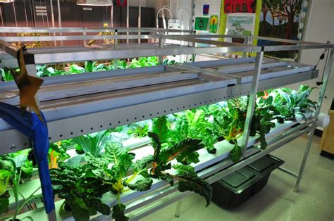 Is 126 Gets New Hydroponic Lab Allows Students To Study Plant Life