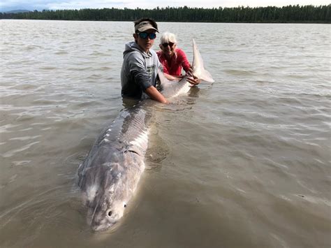 Best Times for Fishing in BC in 2020 - Silversides Fishing Adventures