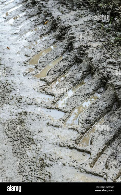 Tyre Tracks Or Tire Marks Of A Heavy Duty Tractor On A Muddy And Wet