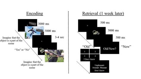 Schematic View Of The Stimulus Presentation During Encoding And