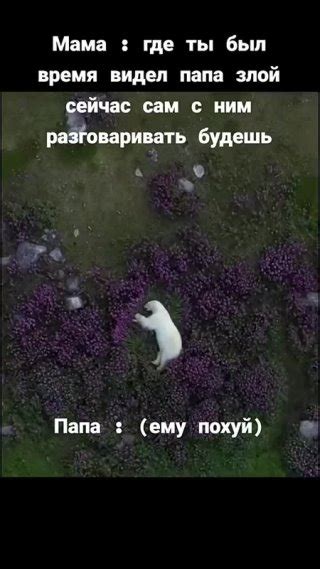 Клипы Чёрная Тумбочка