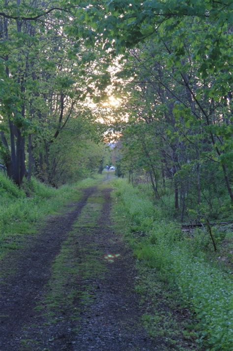 Photo The Rail Trail Andy Arthur Org