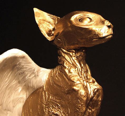 TAXIDERMY ART | THE GOLDEN AGE